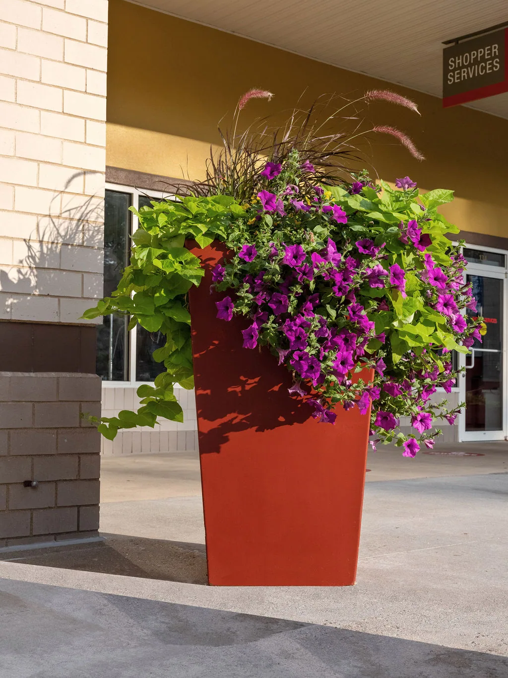 Commercial landscape project